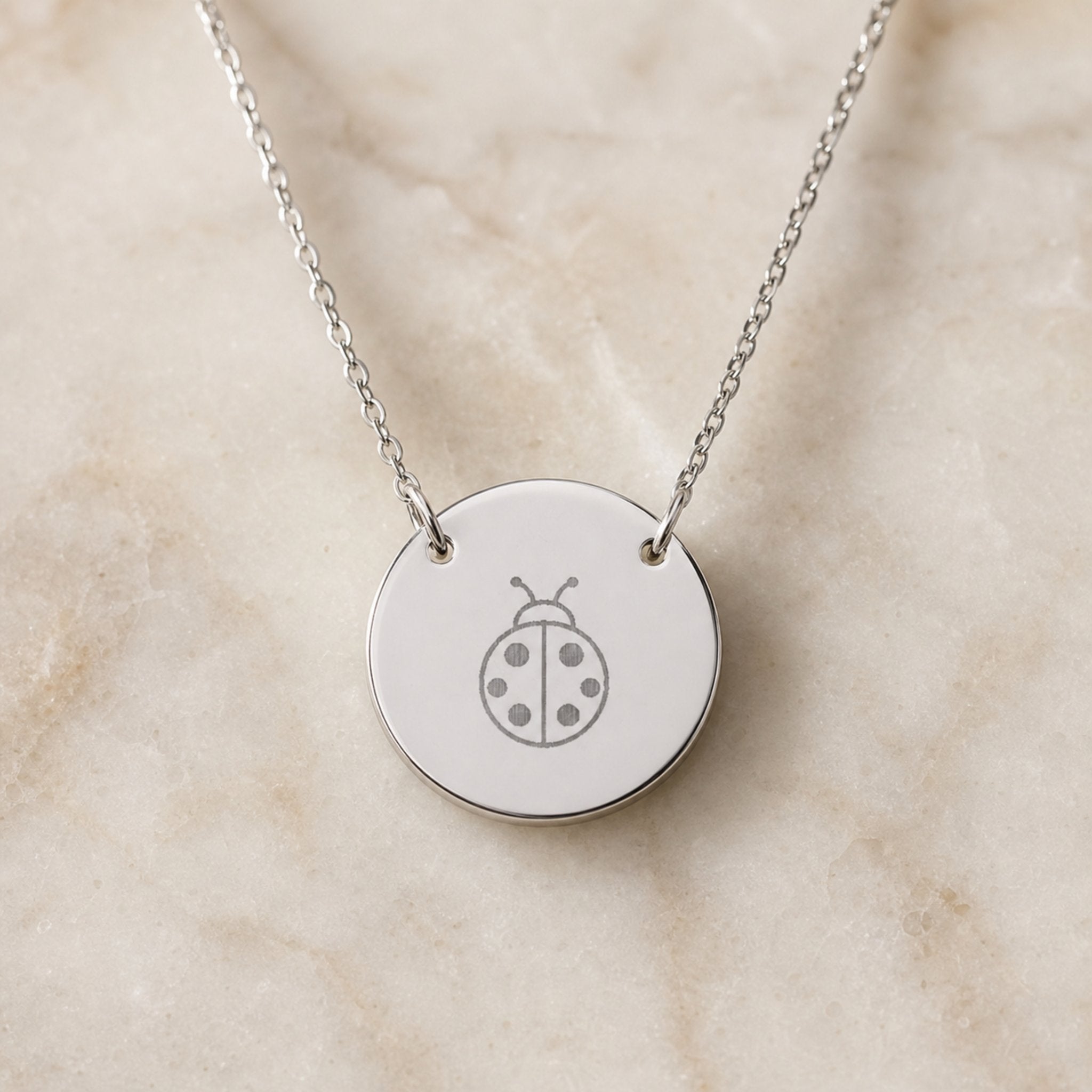 Memory That Lasts ladybug coin necklace, Stainless Steel finish, closeup macro