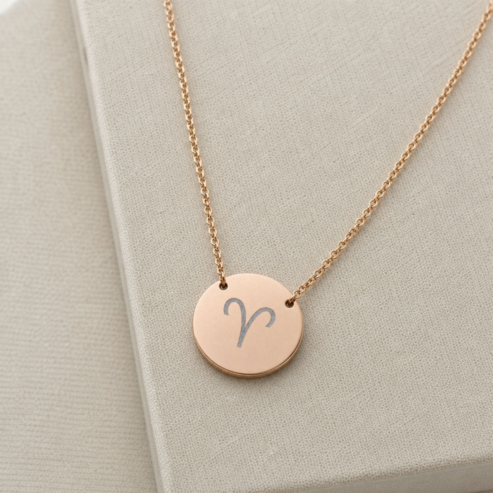 Aries Ram Necklace, Aries Sign Necklace, Aries Charm Necklace, Zodiac Coin Necklace