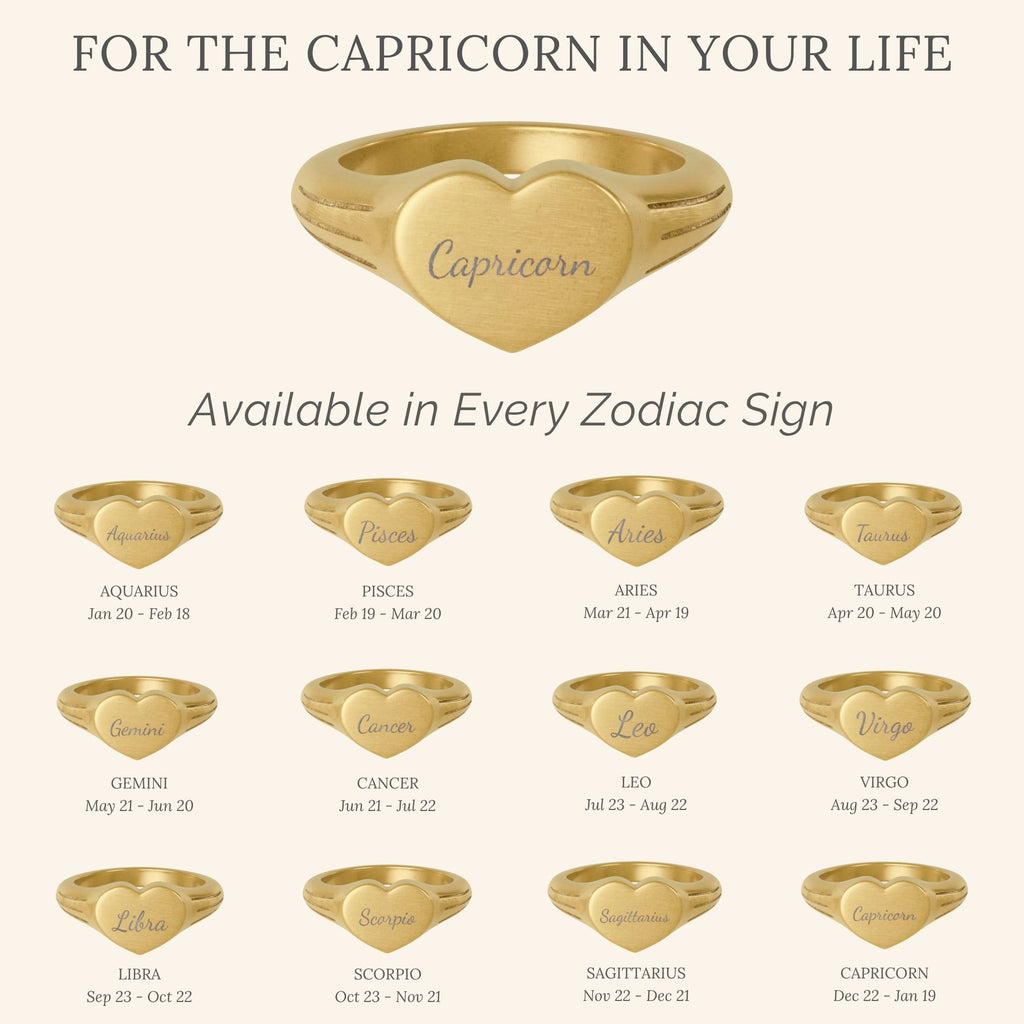 Capricorn Signet Ring, Capricorn Ring, Star Signet Ring, Heart Signet Ring