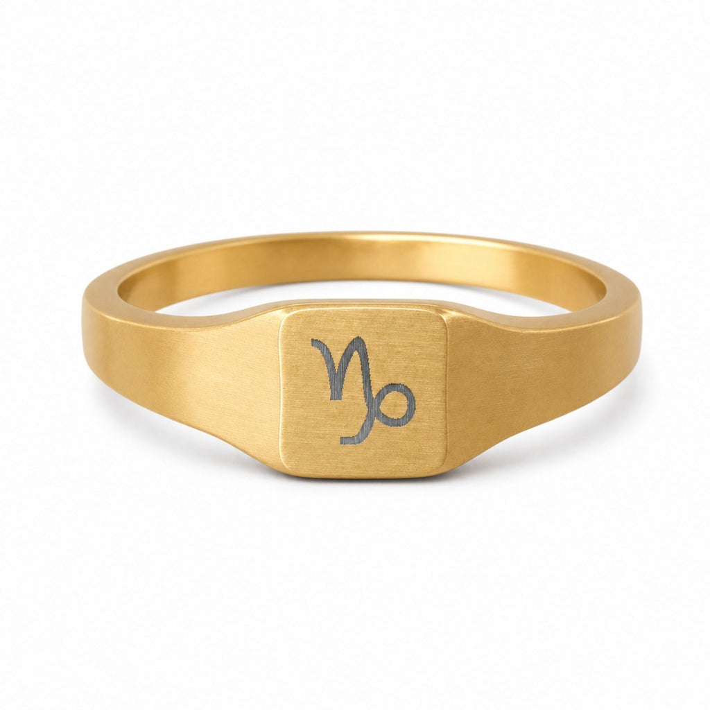 Capricorn Signet Ring, Capricorn Ring, Zodiac Signet Ring, Square Signet Ring