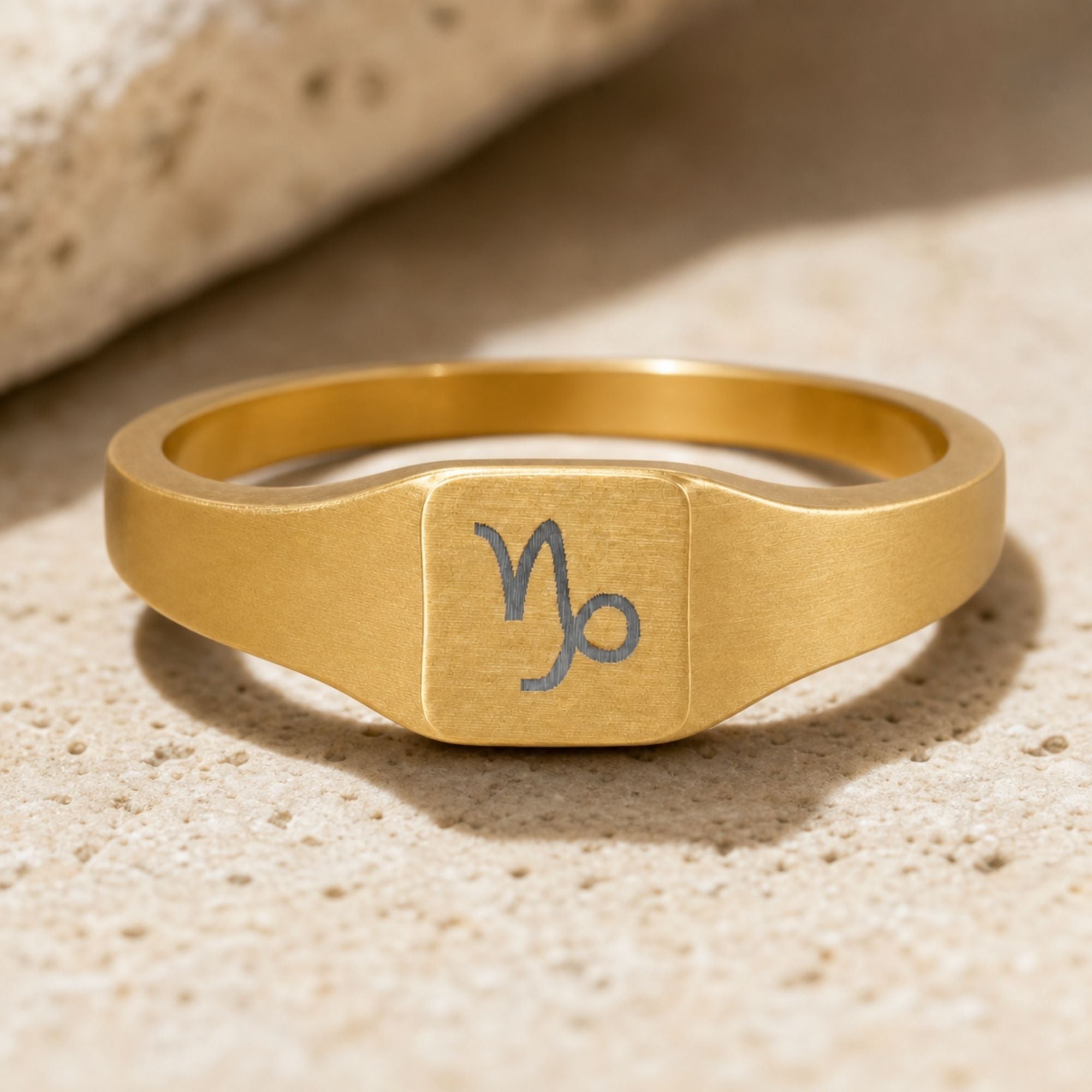 Capricorn Signet Ring, Capricorn Ring, Zodiac Signet Ring, Square Signet Ring