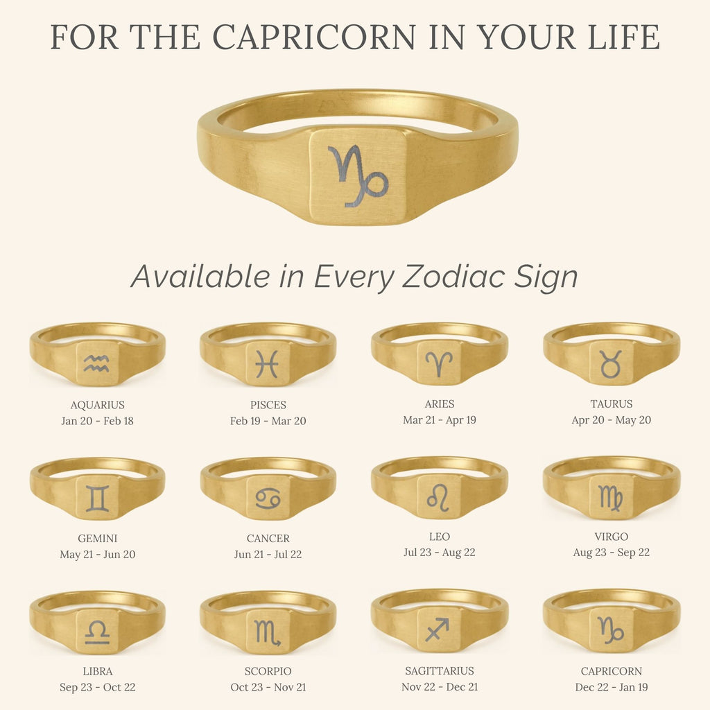 Capricorn Signet Ring, Capricorn Ring, Zodiac Signet Ring, Square Signet Ring