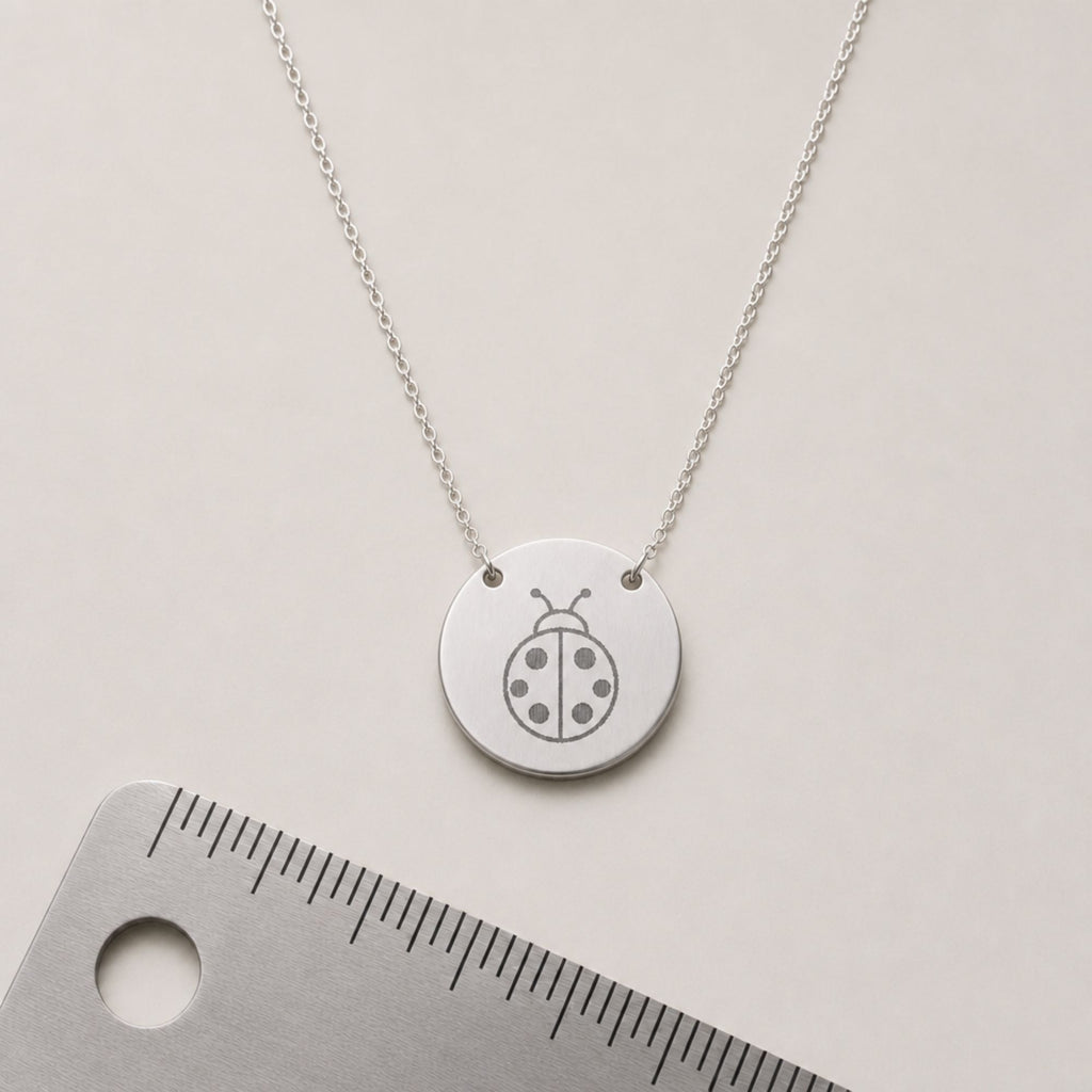 Ladybug Necklace, Ladybug Pendant, Ladybug Coin Necklace
