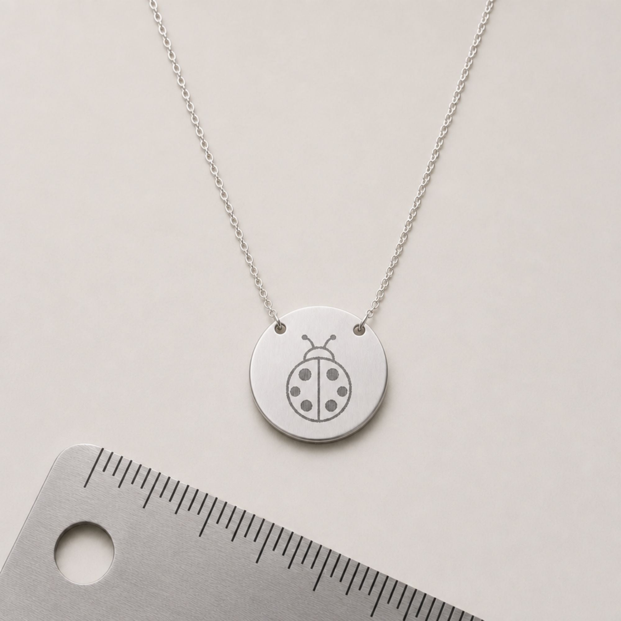 Ladybug Necklace, Ladybug Pendant, Ladybug Coin Necklace