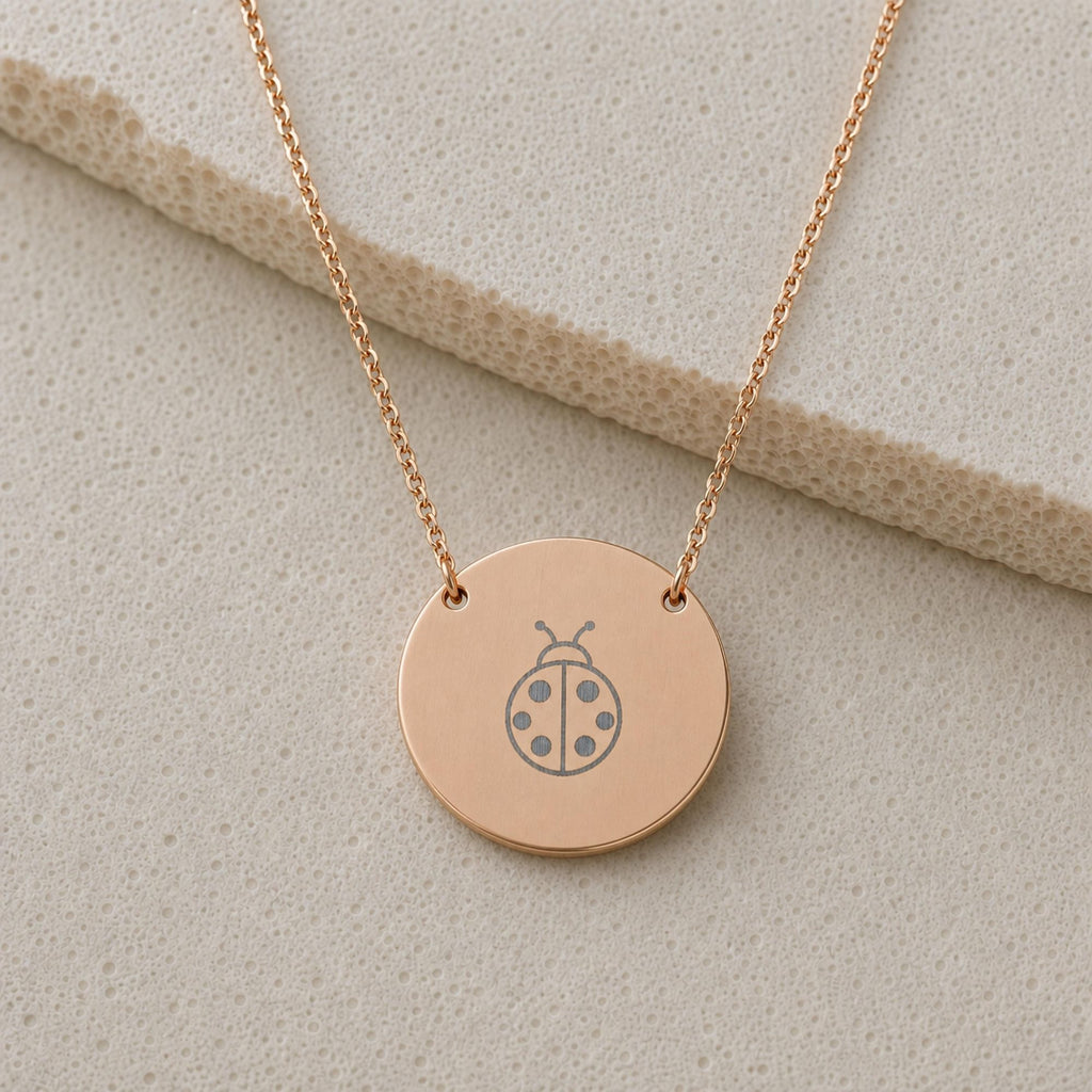 Ladybug Necklace, Ladybug Pendant, Ladybug Coin Necklace