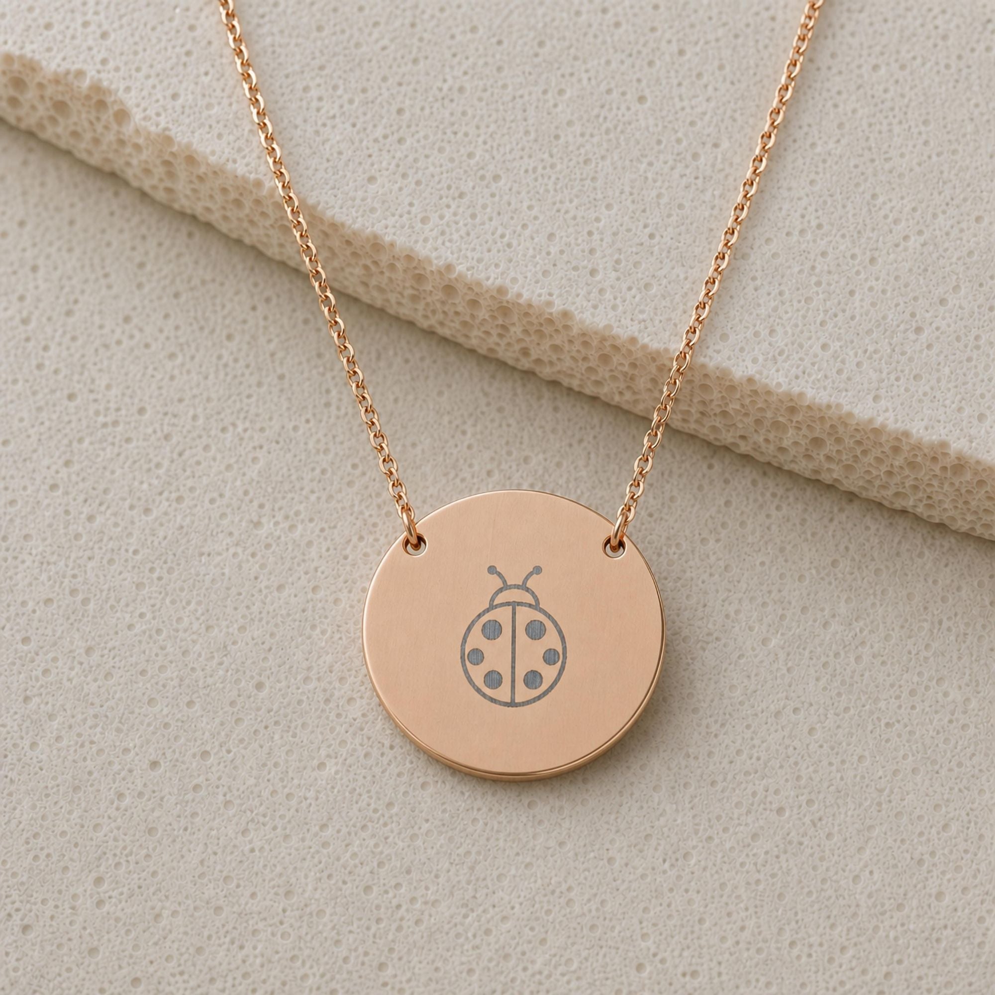 Ladybug Necklace, Ladybug Pendant, Ladybug Coin Necklace