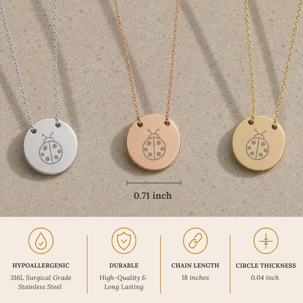 Ladybug Necklace, Ladybug Pendant, Ladybug Coin Necklace