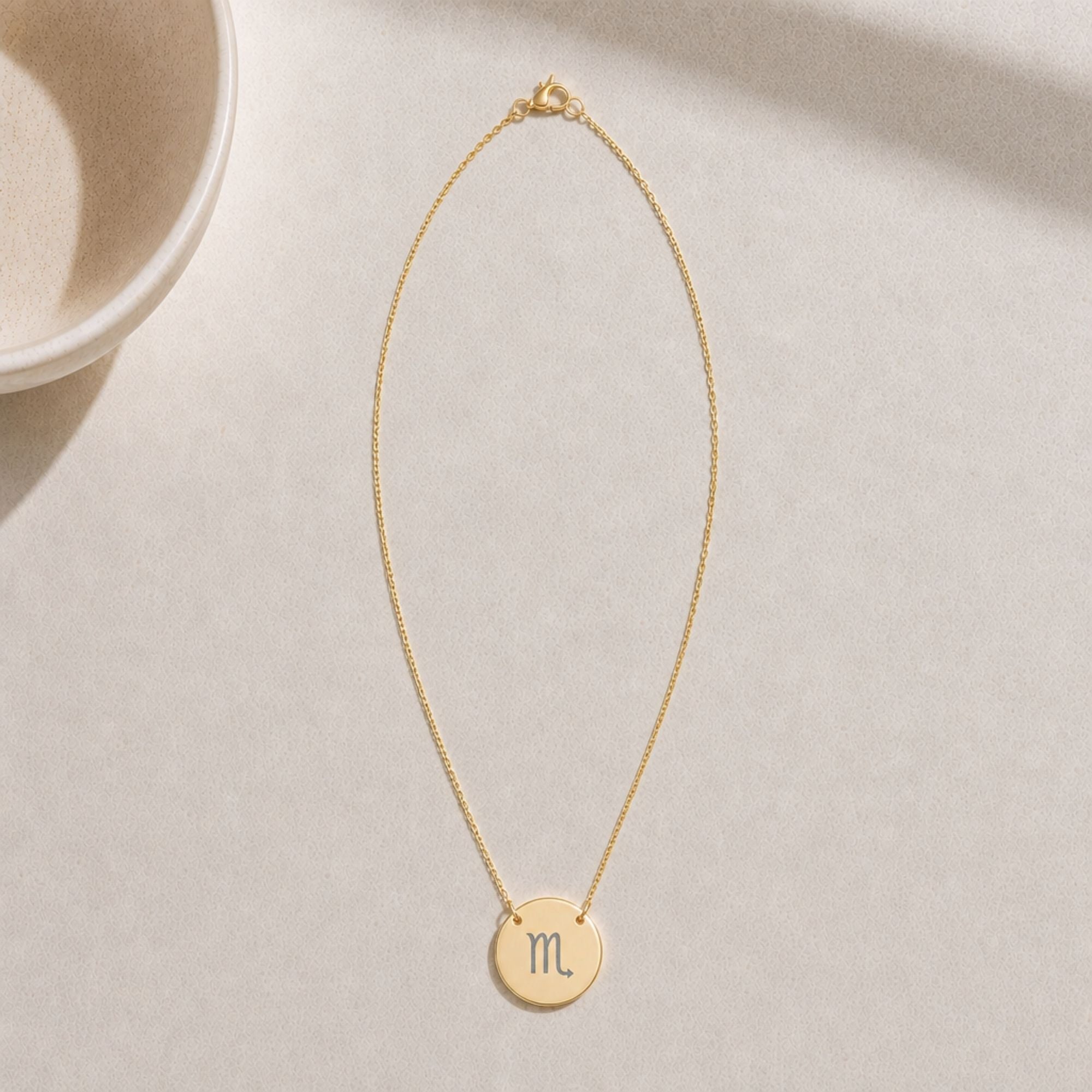 Scorpio Gift For Her, Scorpio Pendant, Zodiac Coin Necklace, Birth Sign Necklace