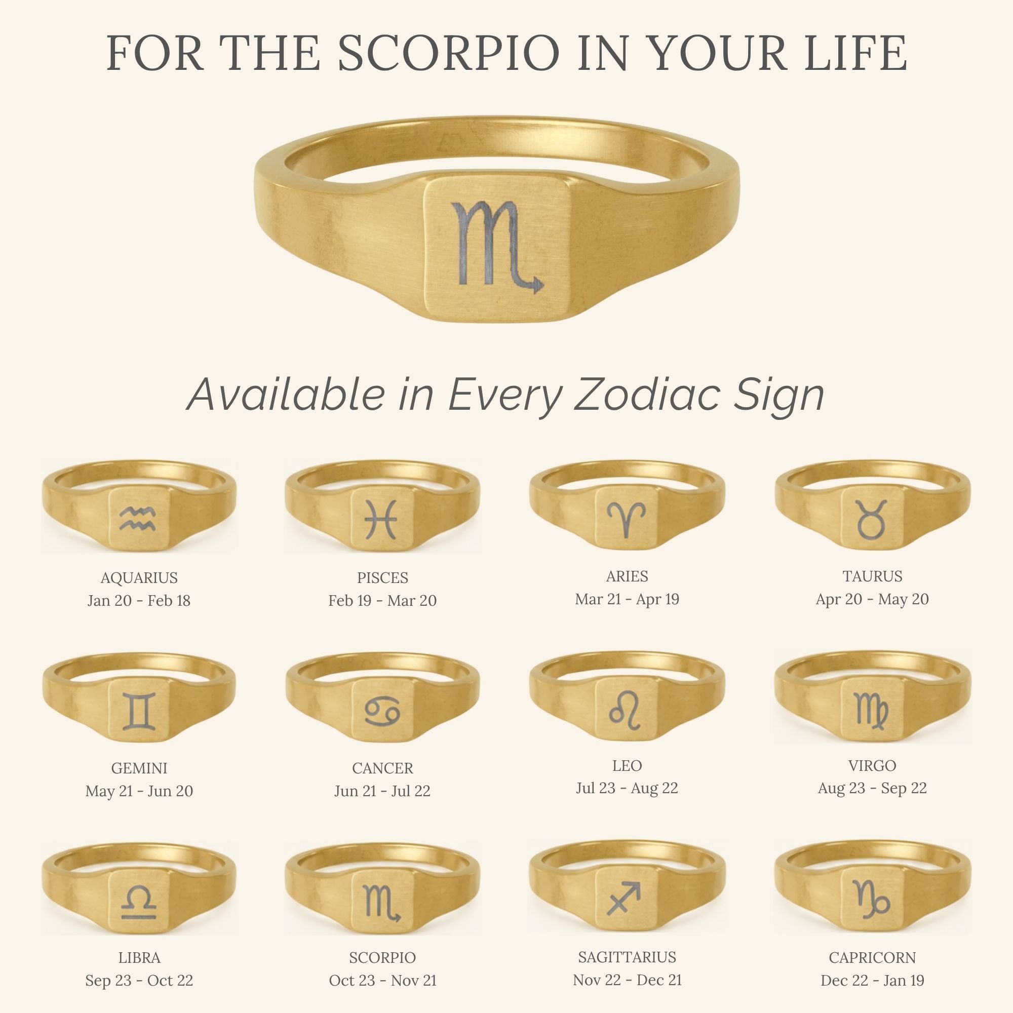 Scorpio Signet Ring, Scorpio Ring, Zodiac Signet Ring, Square Signet Ring